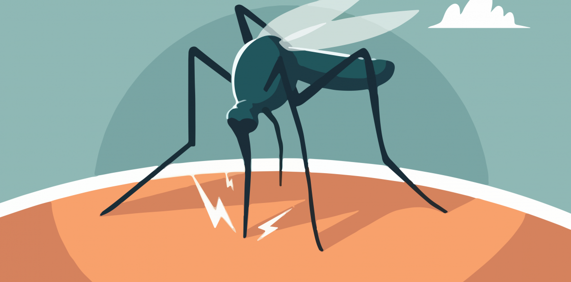 El dengue se transmite a través de la picadura del mosquito, utilizar repelente es esencial para ahuyentarlos